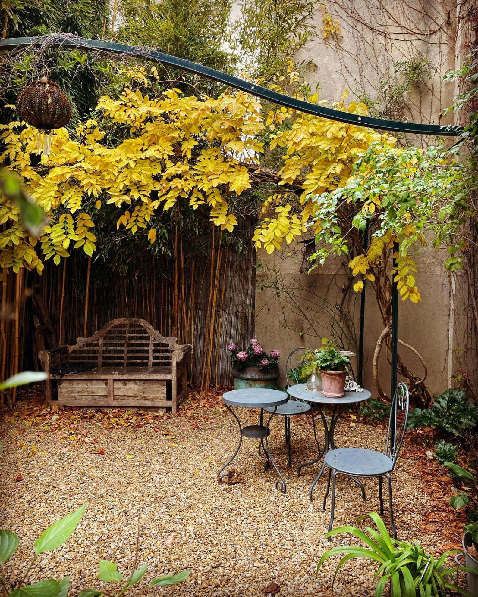 Le Logis Blanc Bed&Breakfast Coursan Eksteriør billede
