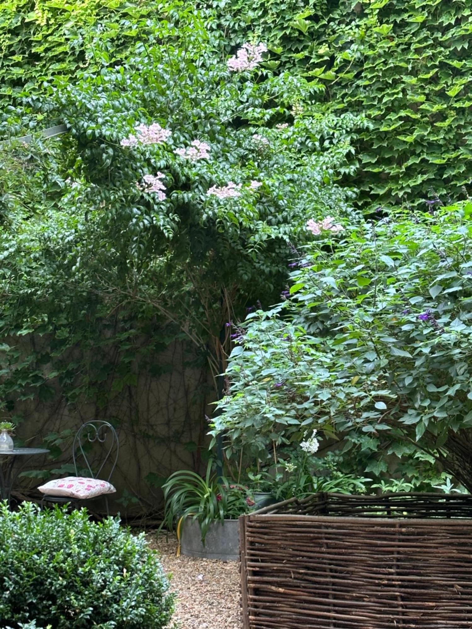 Le Logis Blanc Bed&Breakfast Coursan Eksteriør billede