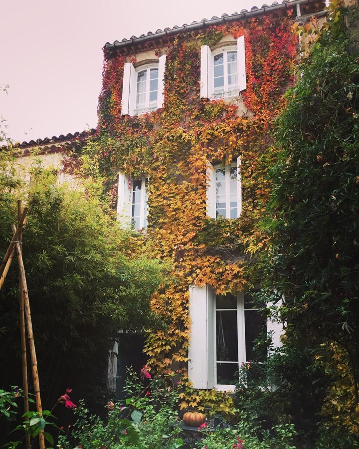 Le Logis Blanc Bed&Breakfast Coursan Eksteriør billede