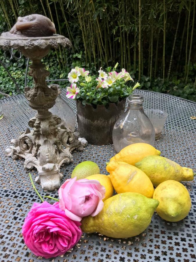 Le Logis Blanc Bed&Breakfast Coursan Eksteriør billede
